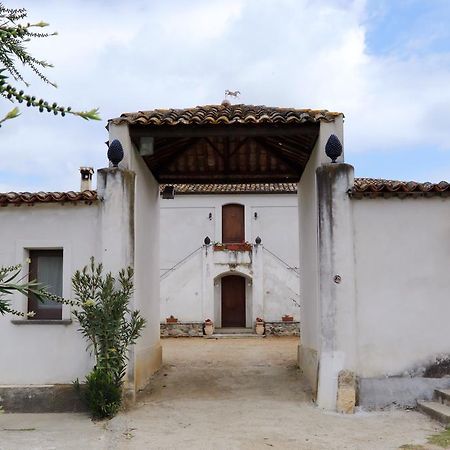 B&B Vaiana Maida Extérieur photo
