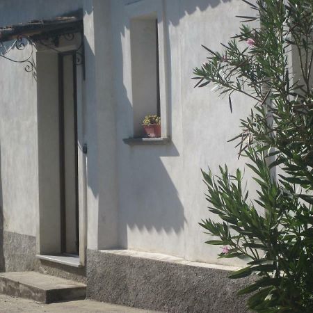 B&B Vaiana Maida Chambre photo