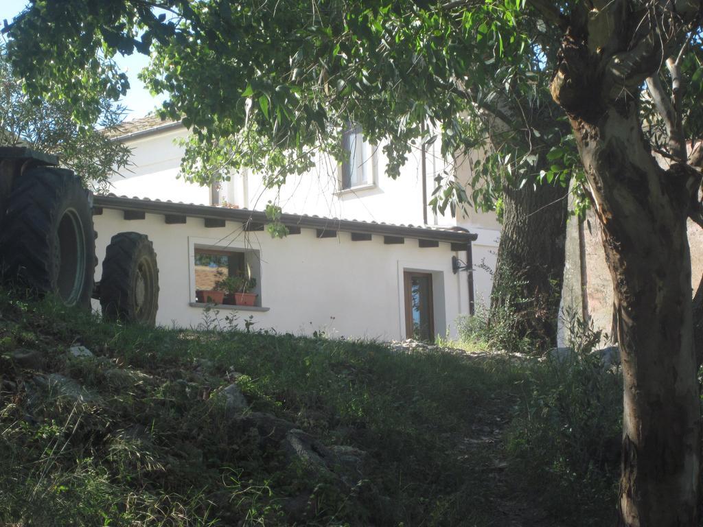 B&B Vaiana Maida Extérieur photo