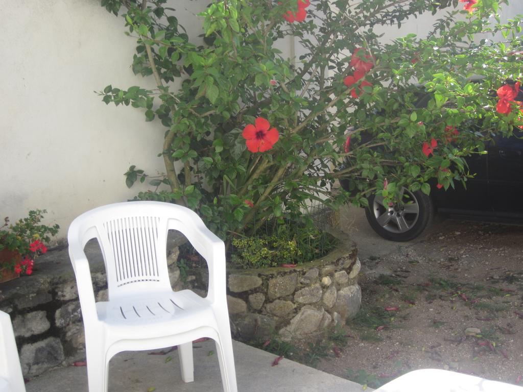 B&B Vaiana Maida Extérieur photo