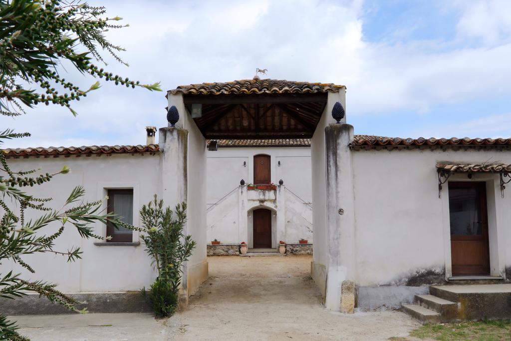 B&B Vaiana Maida Extérieur photo