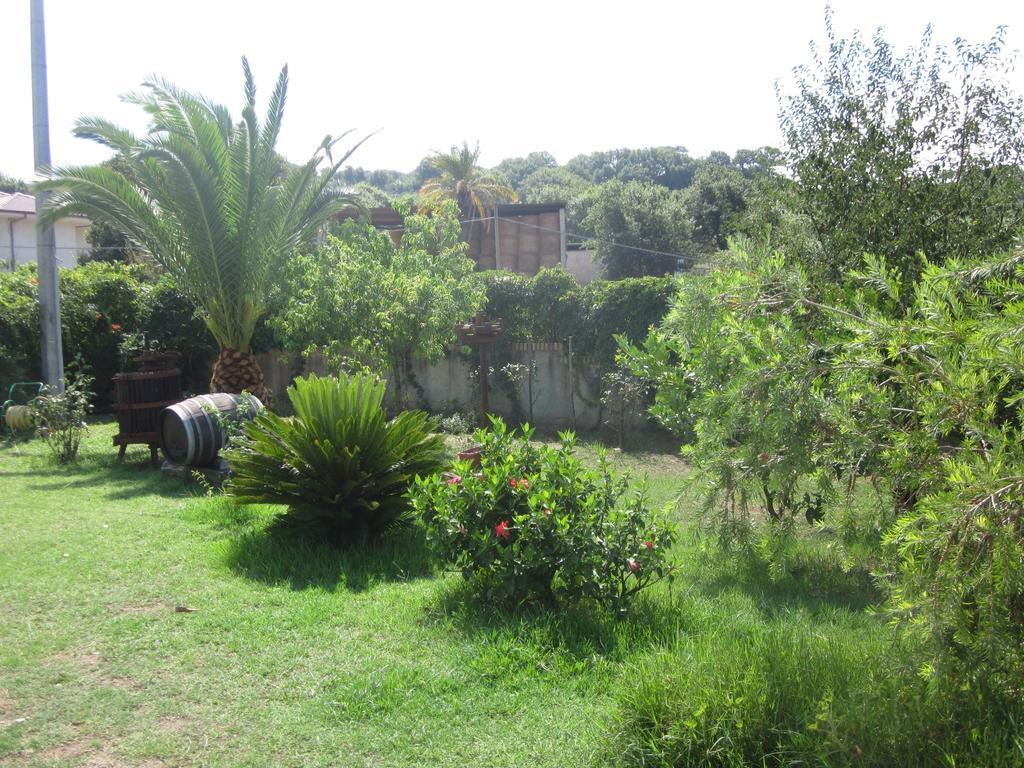 B&B Vaiana Maida Extérieur photo