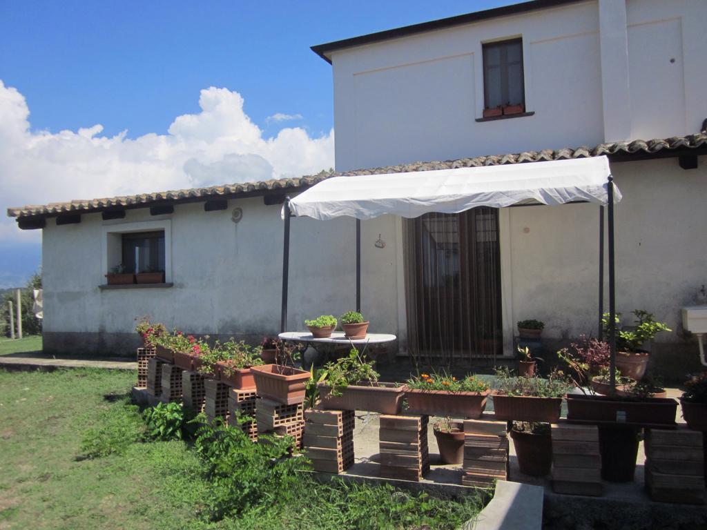 B&B Vaiana Maida Extérieur photo