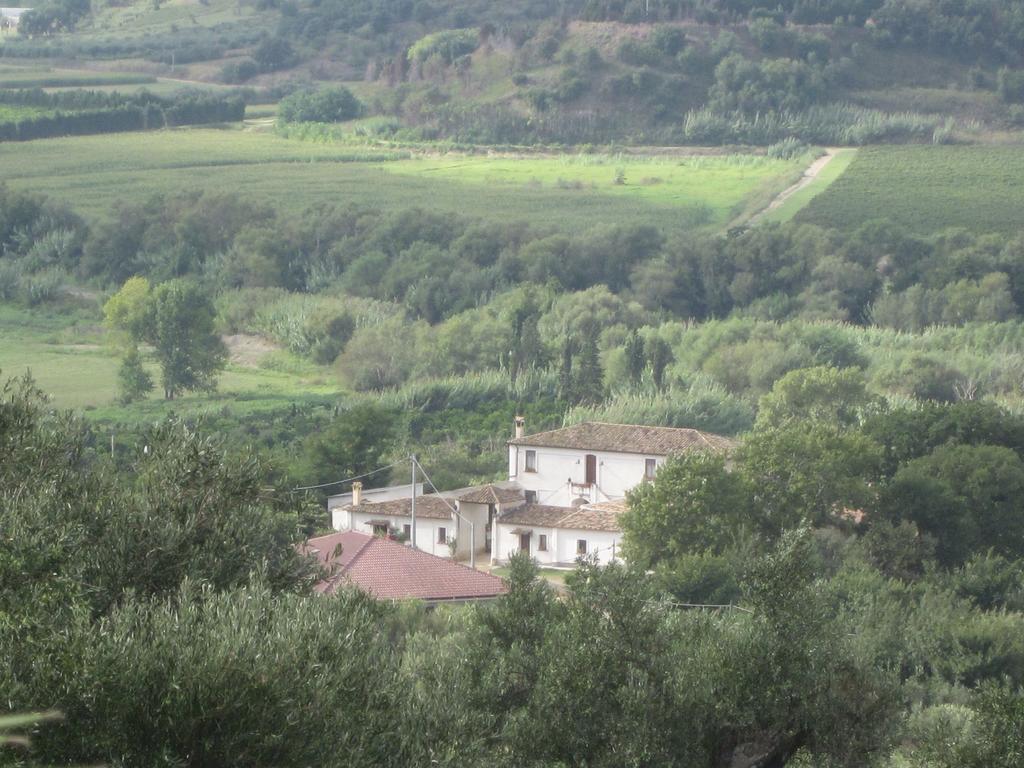 B&B Vaiana Maida Extérieur photo